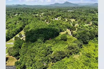 422 Fair Valley Road, Demorest, GA 30535 - Photo 17