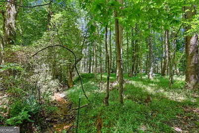 422 Fair Valley Road, Demorest, GA 30535 - Photo 7