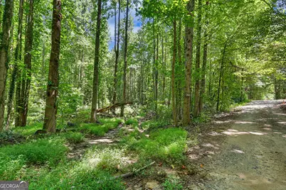 422 Fair Valley Road, Demorest, GA 30535 - Photo 5