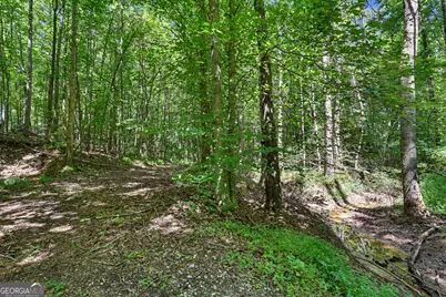 422 Fair Valley Road, Demorest, GA 30535 - Photo 9