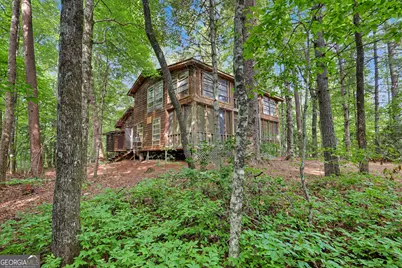 2597 Burton Dam Road, Clarkesville, GA 30523 - Photo 37