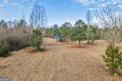 241 Foskey Cemetary Road, Adrian, GA 31002 - Photo 69