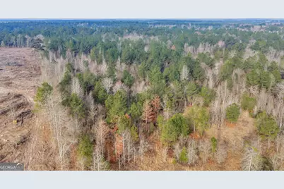 241 Foskey Cemetary Road, Adrian, GA 31002 - Photo 61