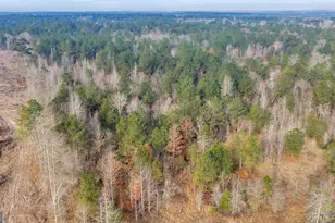 241 Foskey Cemetary Rd, Adrian, GA 31002 - Photo 61
