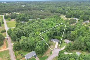 1203 Dried Creek Ct, McDonough, GA 30252 - Photo 43