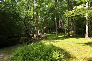 187 Still Water Way, Demorest, GA 30535 - Photo 77