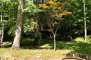 187 Still Water Way, Demorest, GA 30535 - Photo 73