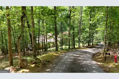 187 Still Water Way, Demorest, GA 30535 - Photo 61