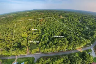 275/277 Goose Creek Rd, Tallapoosa, GA 30176 - Photo 13