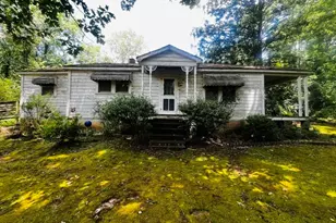 173 Pear Valley Dr, Clarkesville, GA 30523 - Photo 3