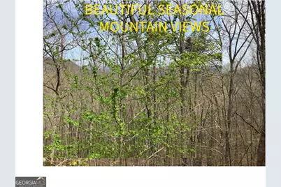 7026 Peebles Road, Young Harris, GA 30582 - Photo 23
