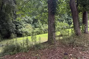 230 Camp Ground Rd, Griffin, GA 30223 - Photo 35