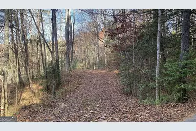 1 Barefoot Hills Road, Hiawassee, GA 30546 - Photo 3