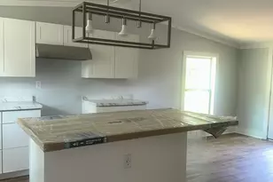 1430 Mark Wood Rd, Dexter, GA 31019 - Photo 5