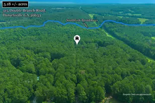 315 Double Branch Rd, Danielsville, GA 30633 - Photo 35