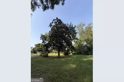 321 Leo Marshall Street, Blackshear, GA 31516 - Photo 5