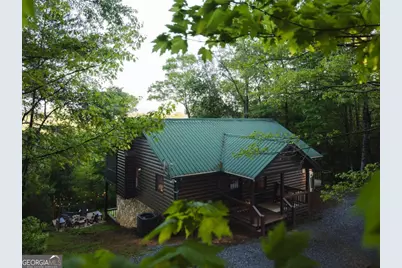 335 N Old Aska Road, Blue Ridge, GA 30513 - Photo 45