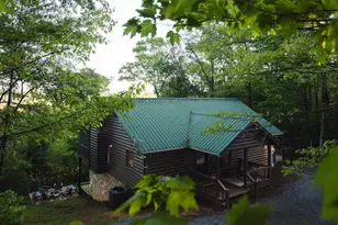 335 N Old Aska Rd, Blue Ridge, GA 30513 - Photo 45