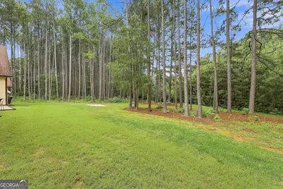 19 Rock House Estates Drive, Senoia, GA 30276 - Photo 61