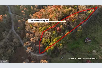 101 Harper Valley Road, Ellijay, GA 30540 - Photo 53