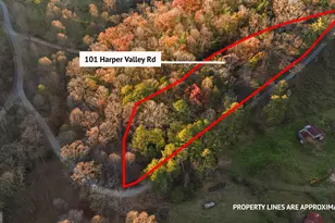 101 Harper Valley Rd, Ellijay, GA 30540 - Photo 53