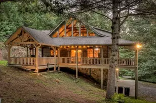 1630 Black Ankle Creek Rd, Blue Ridge, GA 30513 - Photo 45