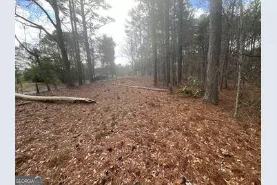 8615 Smith James Road #TRACT 2, Snellville, GA 30039 - Photo 19