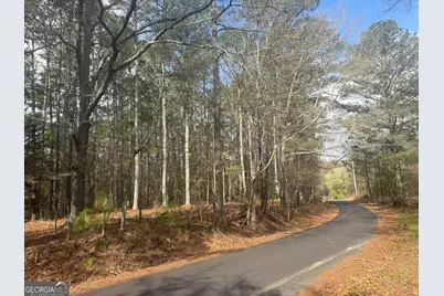 8615 Smith James Road #TRACT 2, Snellville, GA 30039 - Photo 5