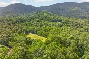 249 Monroe Ridge Rd, Sautee Nacoochee, GA 30571 - Photo 49