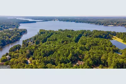 1101 Club Cove Drive, Greensboro, GA 30642 - Photo 67