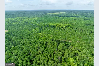 1052 Fortville Milledgeville Road, Haddock, GA 31033 - Photo 13