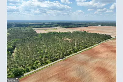 0 Poplar Springs Road, Byromville, GA 31007 - Photo 27