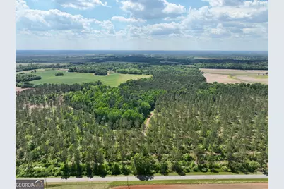 0 Poplar Springs Road, Byromville, GA 31007 - Photo 29