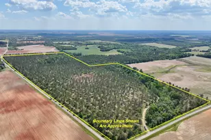 0 Poplar Springs Rd, Byromville, GA 31007 - Photo 1