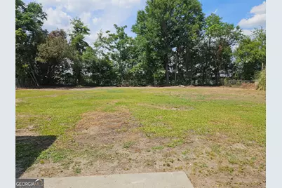 347 Church Street, Cobbtown, GA 30420 - Photo 3