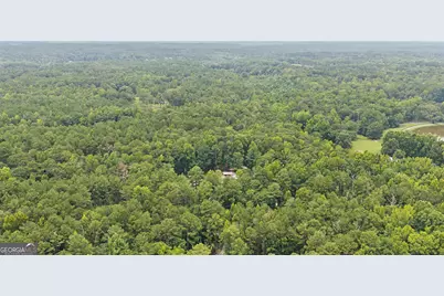 331 Clearwater Road, Sharpsburg, GA 30277 - Photo 75