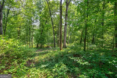 0 Jabez Poyner Road, Carlton, GA 30627 - Photo 15
