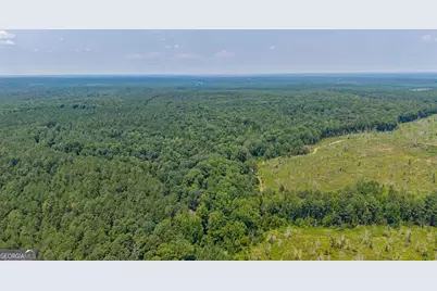 0 Jabez Poyner Road, Carlton, GA 30627 - Photo 17