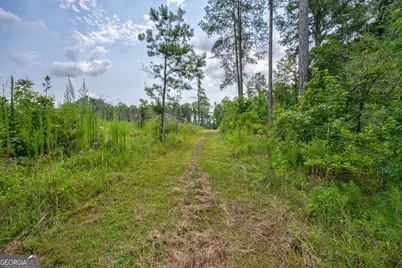 0 Jabez Poyner Road, Carlton, GA 30627 - Photo 9