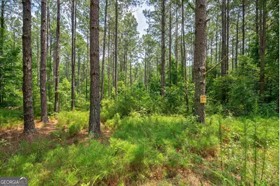 0 Jabez Poyner Road, Carlton, GA 30627 - Photo 11