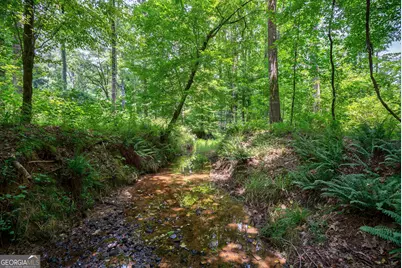0 Jabez Poyner Road, Carlton, GA 30627 - Photo 5
