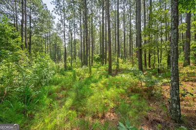 0 Jabez Poyner Road, Carlton, GA 30627 - Photo 13