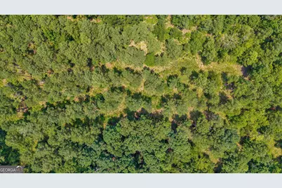 0 Jabez Poyner Road, Carlton, GA 30627 - Photo 19