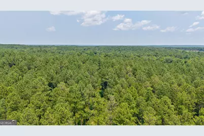 0 Jabez Poyner Road, Carlton, GA 30627 - Photo 25