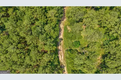 0 Jabez Poyner Road, Carlton, GA 30627 - Photo 23