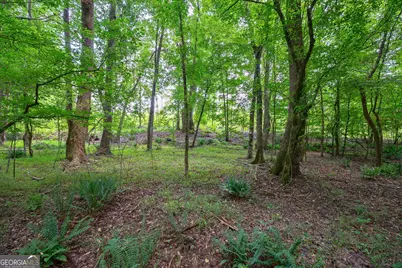0 Jabez Poyner Road, Carlton, GA 30627 - Photo 7