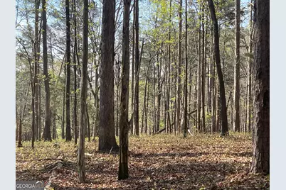 Tract 3 Chalcrest Way, Cave Spring, GA 30124 - Photo 5