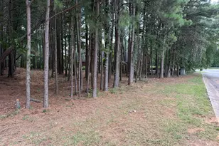 4210 Mundy Mill Pl, Oakwood, GA 30566 - Photo 1