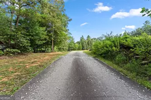 4061 4063 4065 Historic Old Hwy 441, Clarkesville, GA 30523 - Photo 69