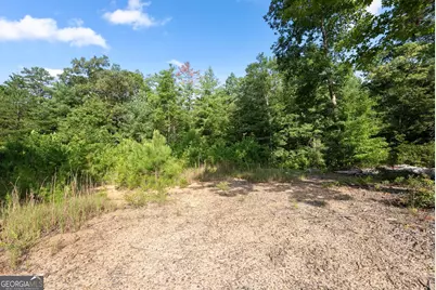 4061,4063,4065, Historic Old Highway 441, Clarkesville, GA 30523 - Photo 101